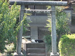 江田稲荷神社