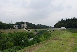 岡坂橋