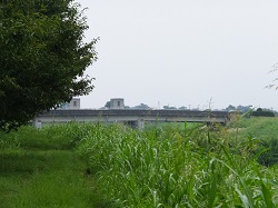 第二新河岸橋